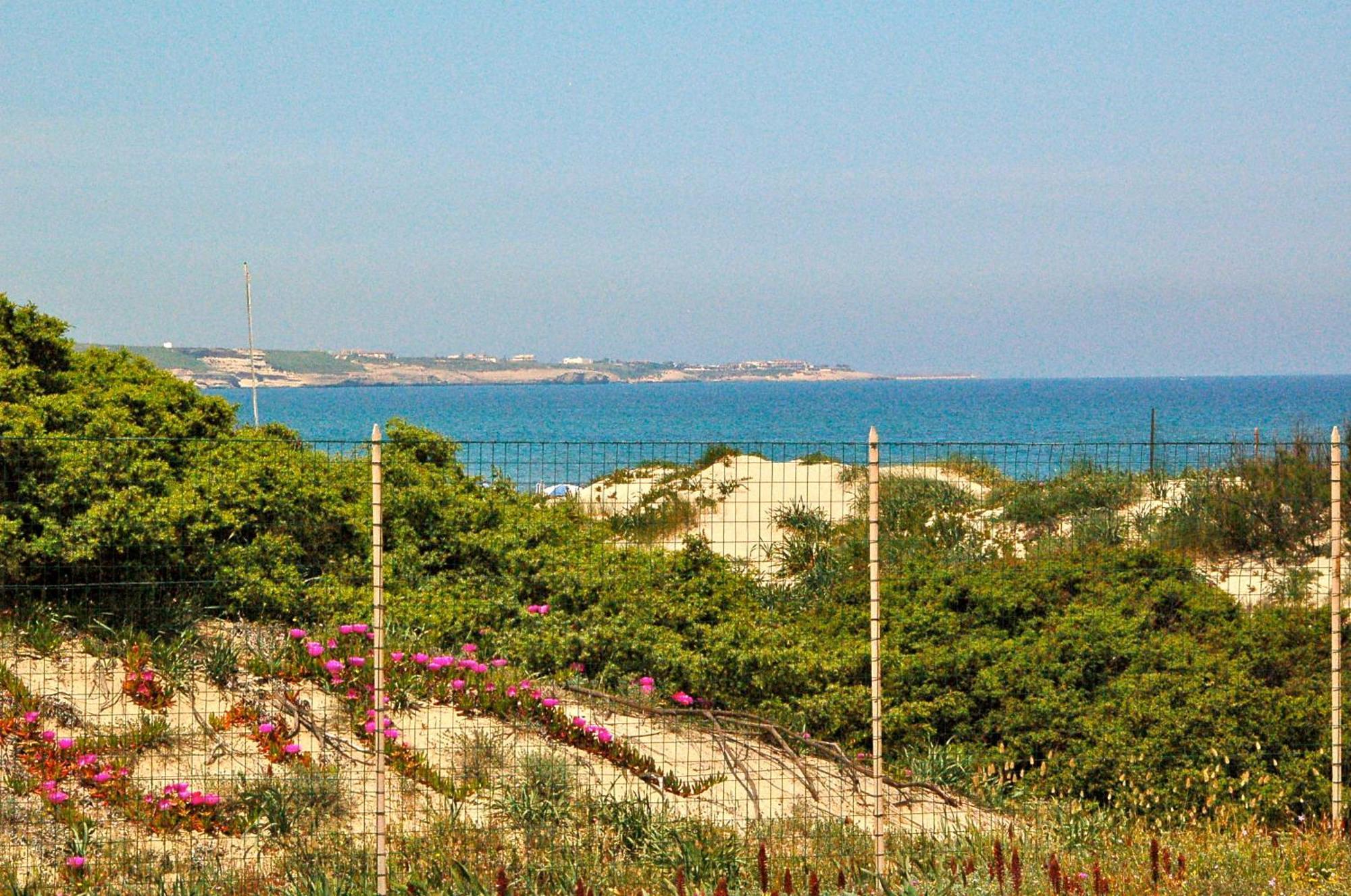 Camping Golfo Dell'Asinara Platamona Εξωτερικό φωτογραφία