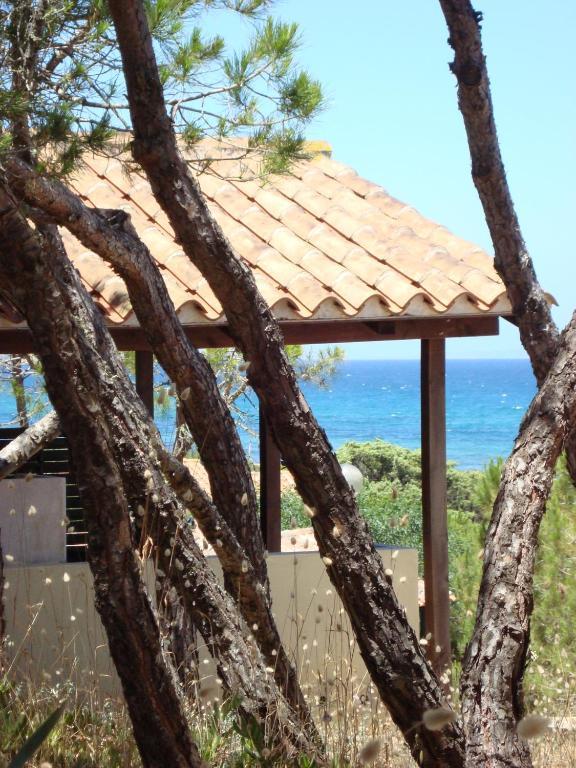Camping Golfo Dell'Asinara Platamona Δωμάτιο φωτογραφία