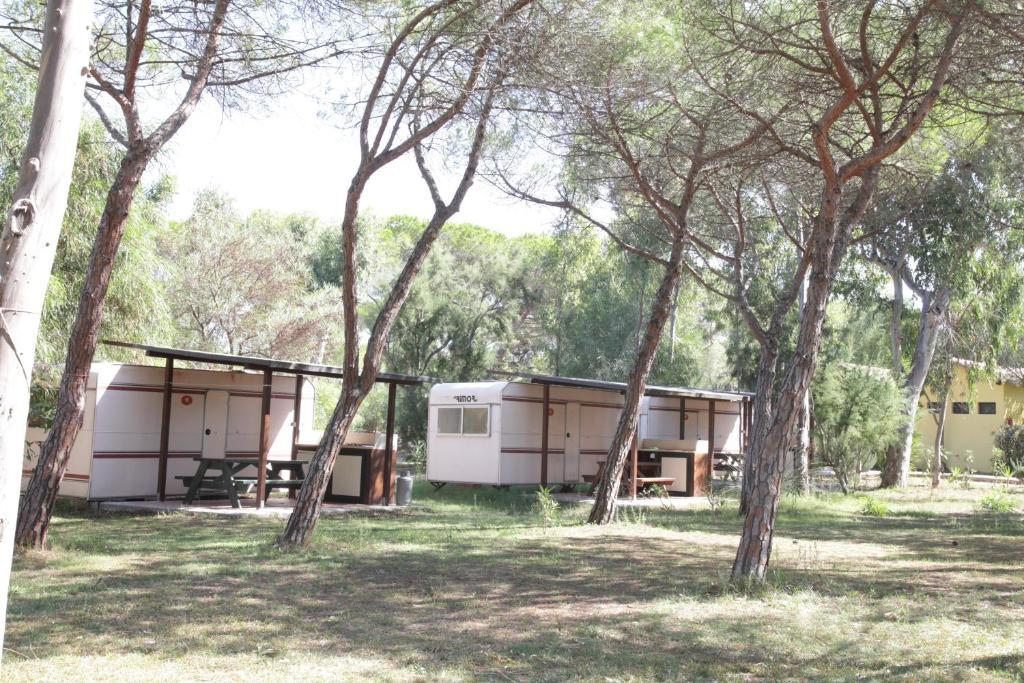 Camping Golfo Dell'Asinara Platamona Δωμάτιο φωτογραφία
