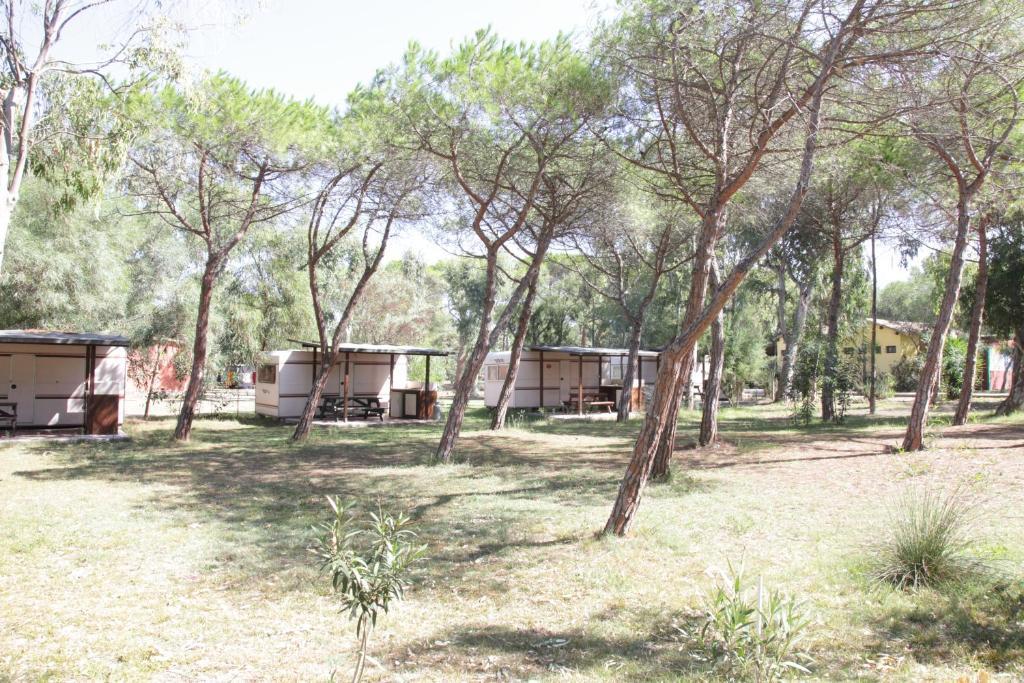 Camping Golfo Dell'Asinara Platamona Δωμάτιο φωτογραφία
