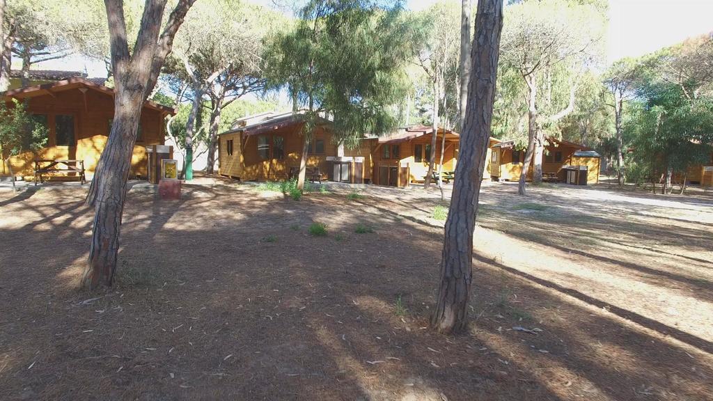 Camping Golfo Dell'Asinara Platamona Εξωτερικό φωτογραφία